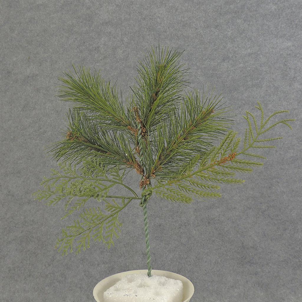 [XB5036] 12" PINE PICK MIX