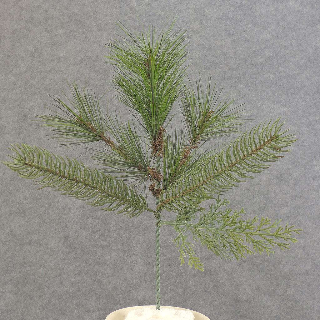 [XB5037] 12" PINE PICK MIX X6