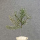 12" PINE PICK MIX W/SNOW