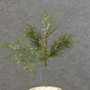 MIXED PINE PICK W/CEDAR & ICE 12"