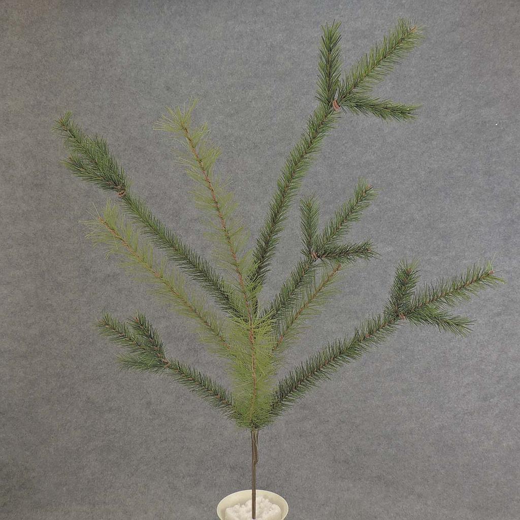 [XB5190] 32" PINE MIXED SPRAY