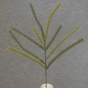 PINE SPRAY 30"