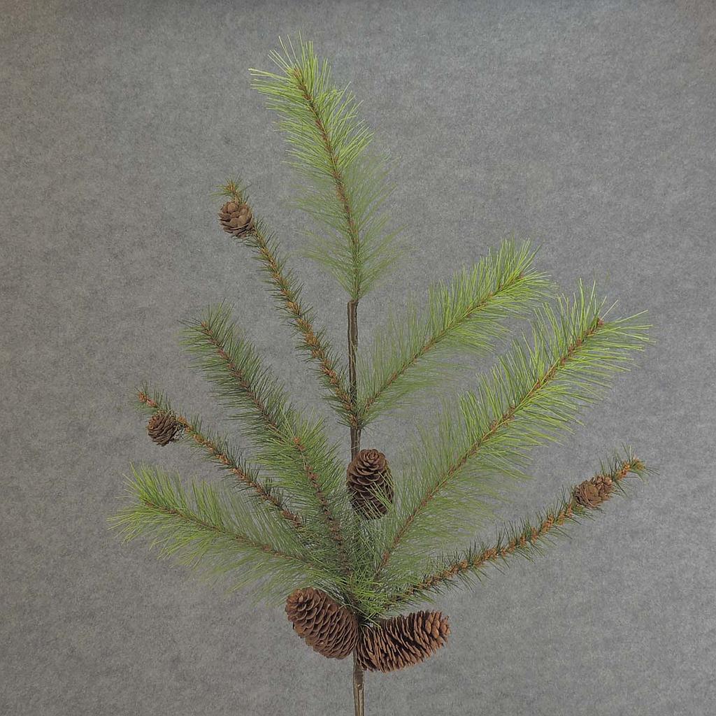 PINE MIXED SPRAY 30&quot; X8 W/CONES