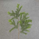 PINE SPRAY X7    34"
