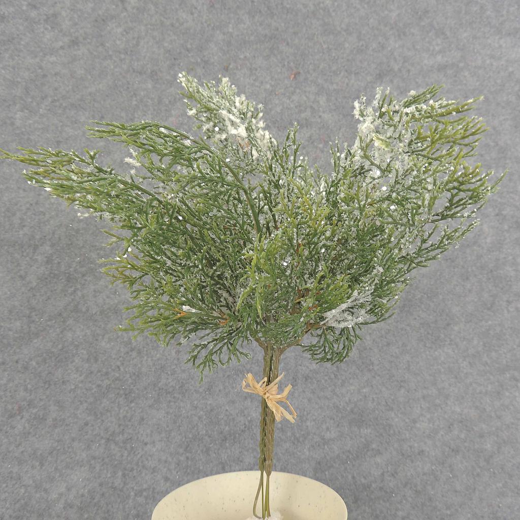 [XB6017] 13" CYPRESS PICK BUNDLE w/SNOW (3/BUNDLE)