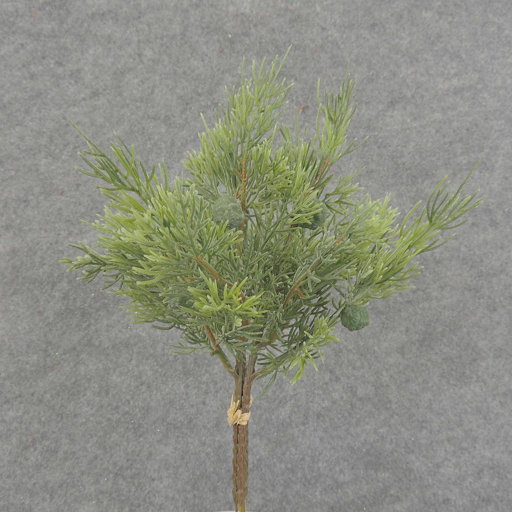 [XB6018] 13" JUNIPER PICK BUNDLE (3/BUNDLE)