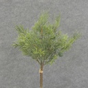 13" JUNIPER PICK BUNDLE (3/BUNDLE)