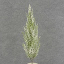 17" CEDAR SPRAY X7 MEDIUM w/SNOW