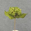 BERRY CLUSTER PICK 12" GLITTER  GREEN