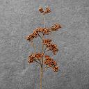 BERRY CLUSTER SPRAY X12 25&quot;