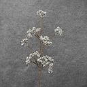 [XA8046-SIL] 25" BERRY CLUSTER SPRAY X12 METALLIC SILVER