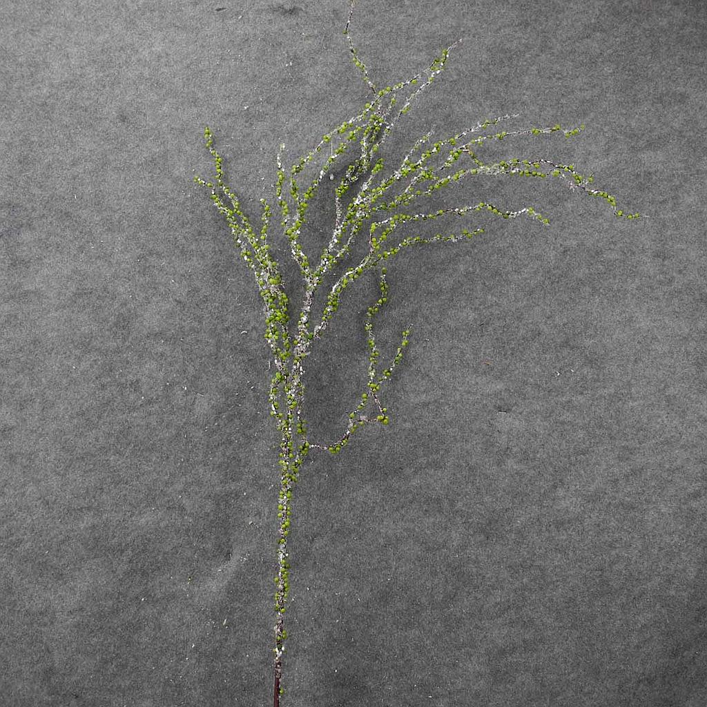 45" TWIG/BERRY SPRAY FLOCKED GREEN
