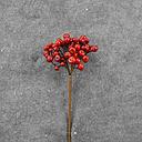 [XA8163] 12" BERRY CLUSTER PICK RED