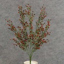 STAR FLOWER BERRY BUSH 20"