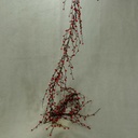 6' GARLAND BERRY RED O.D. RED