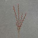 26" BERRY SPRAY X5 O/D RED/BURG