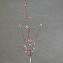 44" BERRY SPRAY X4 W/FLOCKING RED