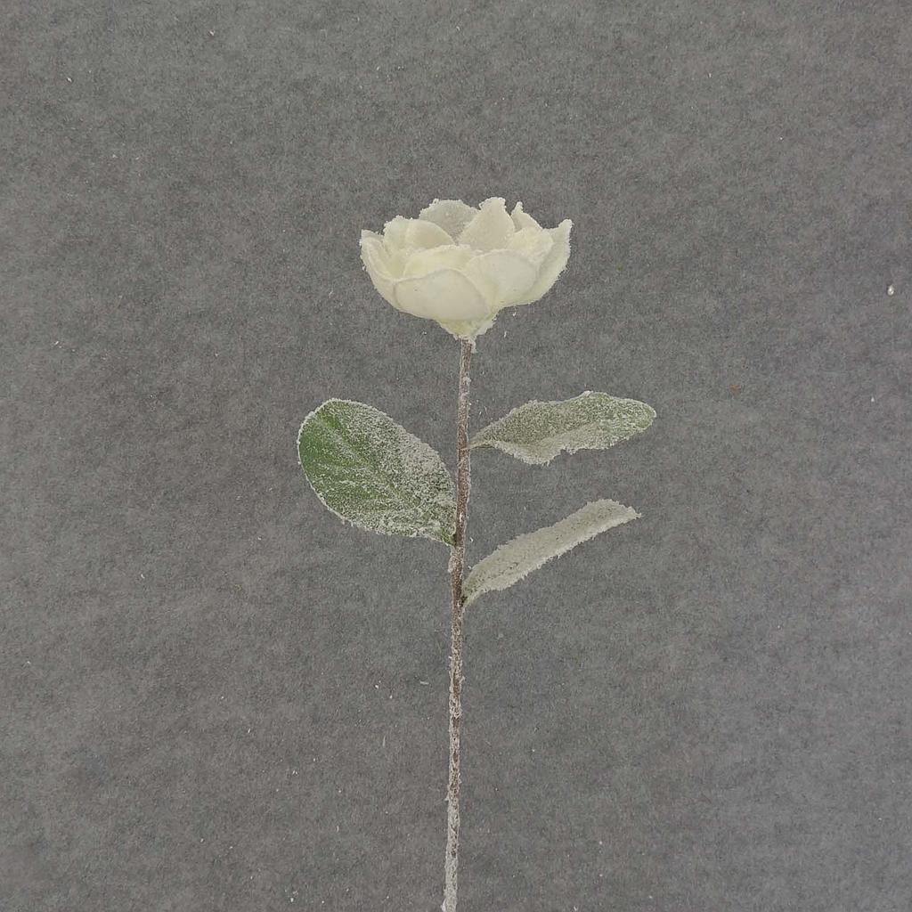 20.5" MAGNOLIA STEM W/SNOW 20