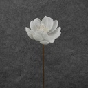 MAGNOLIA BLOOM STEM 24"T/5.5"d WHITE