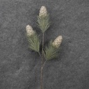 PINECONE/PINE SPRAY X3 30"  CHAMPAGNE