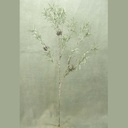 PODOCARPUS SPRAY 29" W/CONES