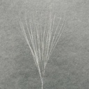 36" PISTIL GRASS SPRAY X3 SILVER