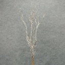 TWIG SPRAY X4 W/ICE & SNOW 38"