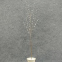 FLOCKED TWIG FACET/BEAD SPRAY 29"