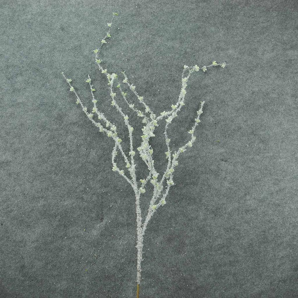 39" FLOCKED TWIG SPRAY W/LEAVES