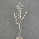 28" BRANCH W/SNOW PLASTIC