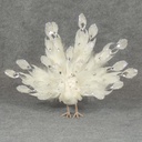 PEACOCK WHITE    19" X 14"