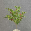 8 " HOLLY BUSH XWEATHERPROOF" VARIEGATED