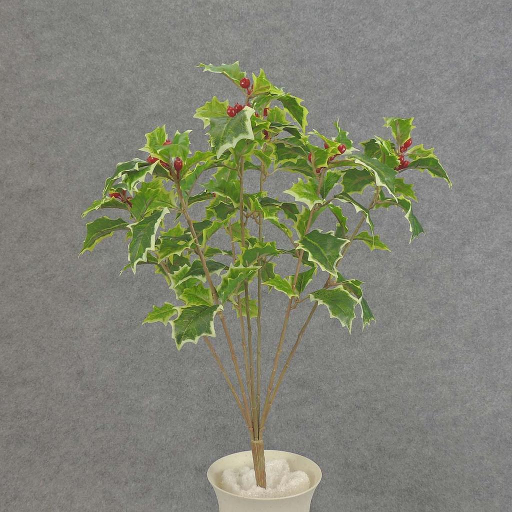 [XE5108-VAR] 7 " HOLLY BUSH XWEATHERPROOF" VARIEGATED