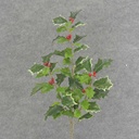 HOLLY SPRAY X3 21" OD BERRIES VARIGATED  GREEN VARIGATED