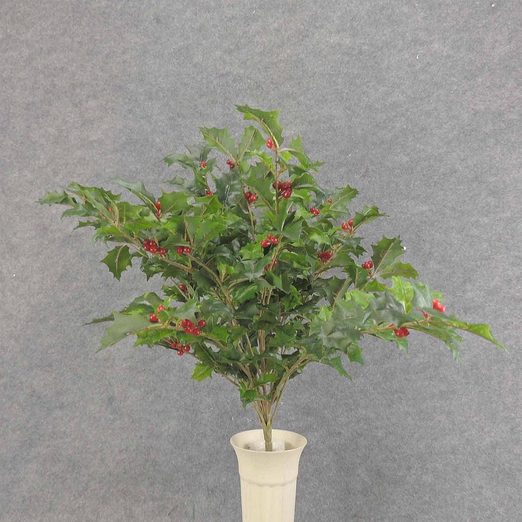 [XE6063-GRN] HOLLY BUSH 423 LVS OD BERRIES  GREEN