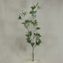 HOLLY PLASTIC W/100 LVS FROSTED