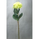 HYDRANGEA SPRAY W/FROST 27"