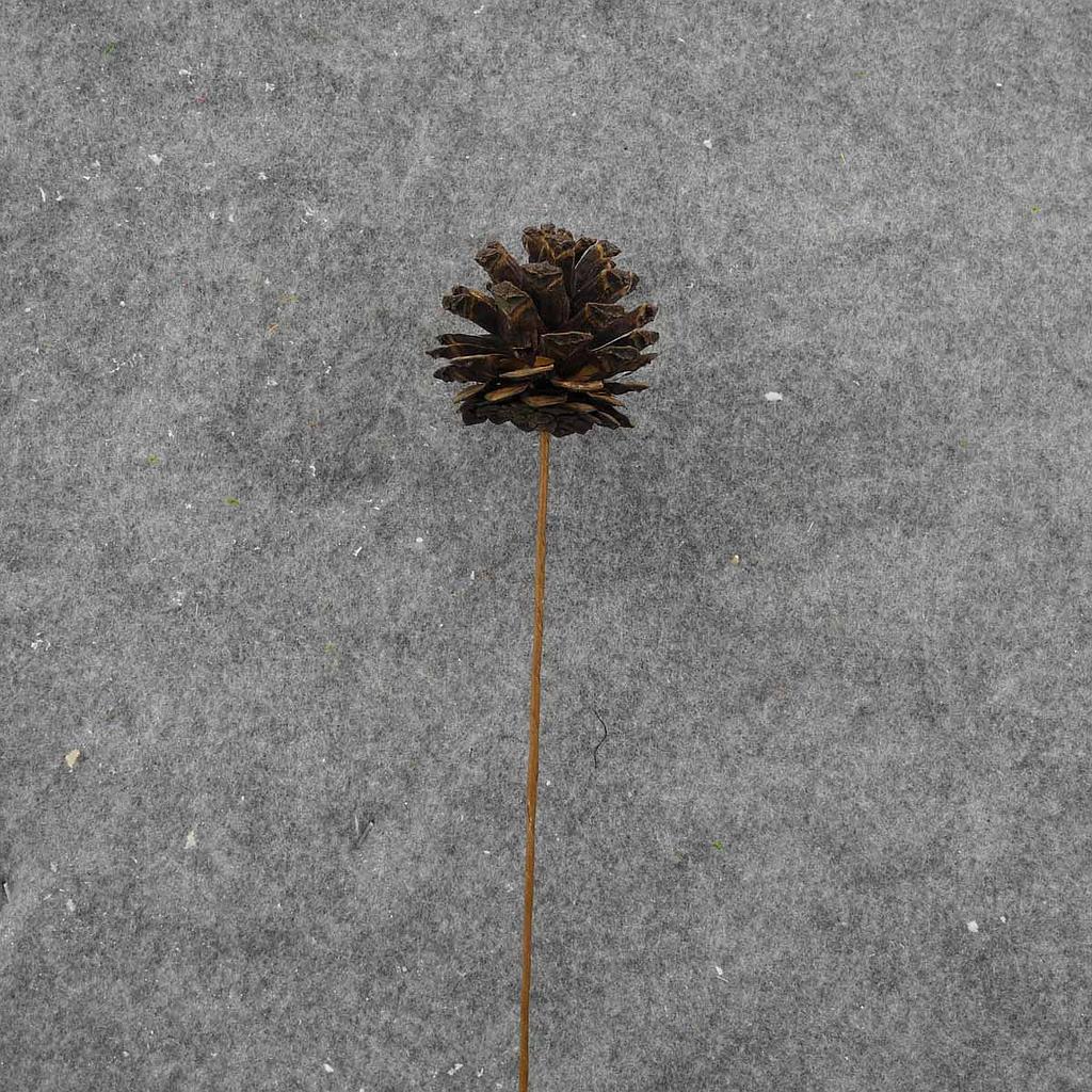 [XB8020] 16" PINE CONE PICK (6/BAG) NATURAL