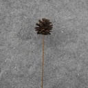 16" PINE CONE PICK (6/BAG) NATURAL