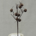JINGLE BELL PICK 12"  RUSTIC BROWN