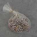 PINE CONES (10/BAG)  WHITE