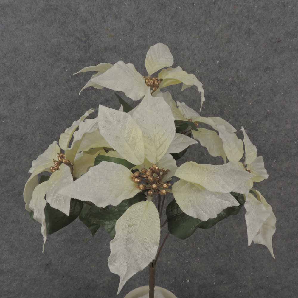 [XB7036-CRW] 17" POINSETTIA BUSH X7