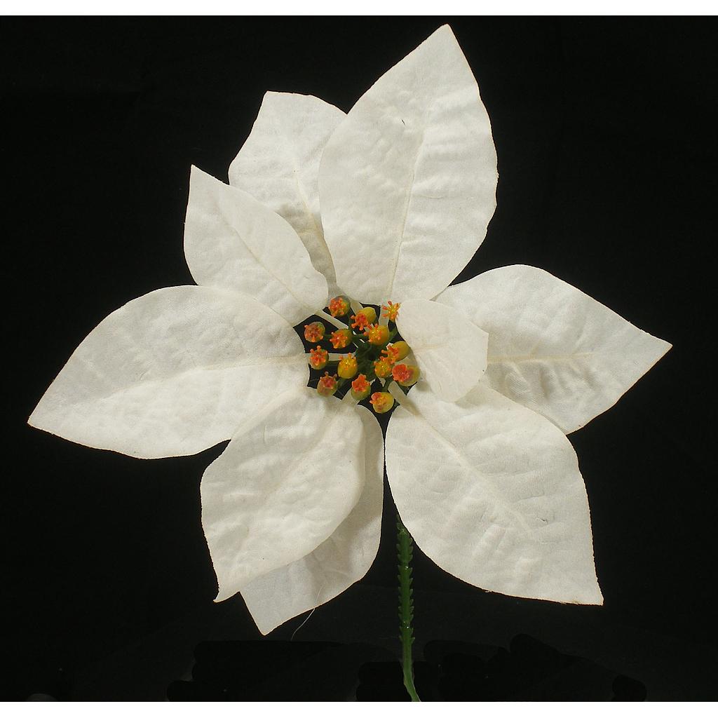 POINSETTIA PICK     WHITE