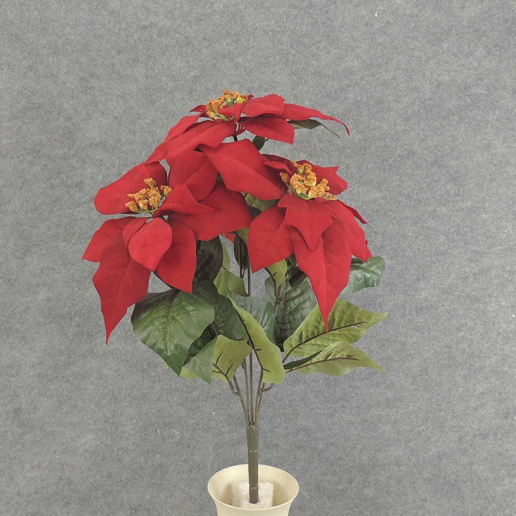 19" RED POINSETTIA BUSH X5 9"dia BLMS