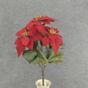 19" RED POINSETTIA BUSH X5 9"dia BLMS