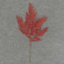 21" CEDAR SPRAY X4 (4/BAG) GLITTER/RED