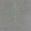 PINE SPRAY 22" METALLIC 6/BAG  TEAL