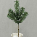 PINE SPRAY NORWAY 14" 5 TIPS (24 SPRAYS/BOX)