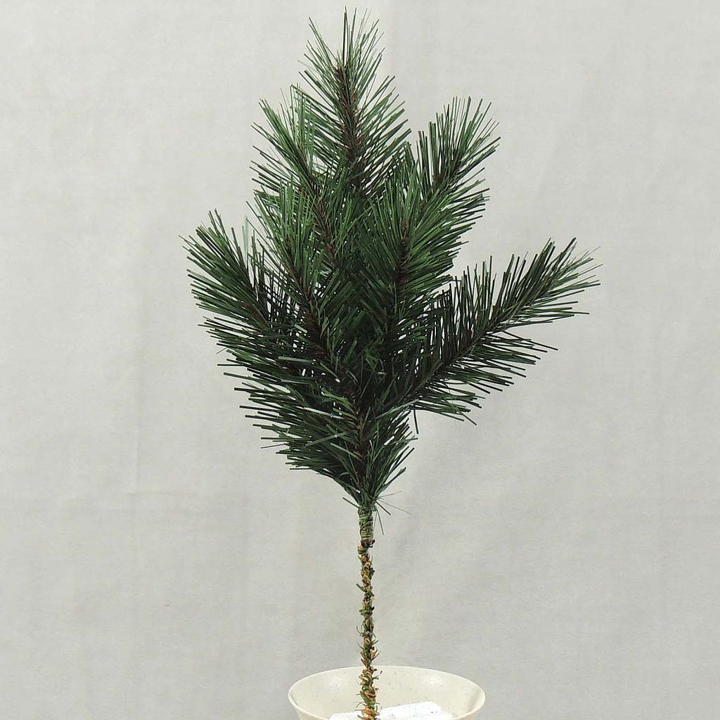 [XD4024] 15" PINE SPRAY WITH 7 TIPS