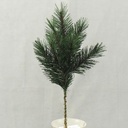15" PINE SPRAY WITH 7 TIPS